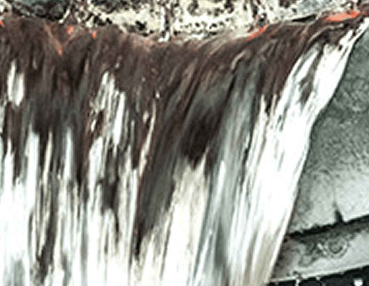 Image without alt